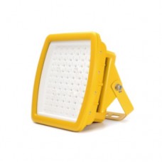 MTG - Explosion Proof - Flood Light